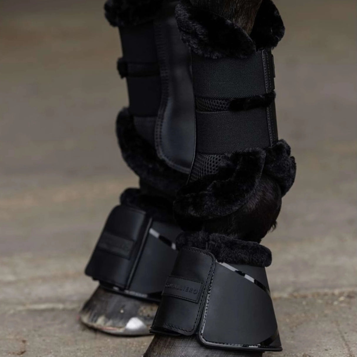 Covalliero Brushing Boots #colour_black