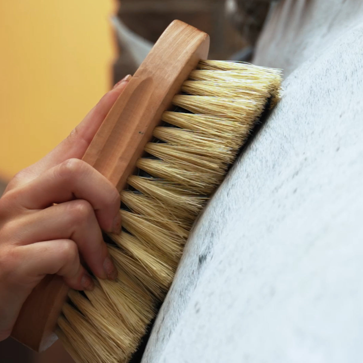Imperial Riding Natural Mixed Brush #colour_natural