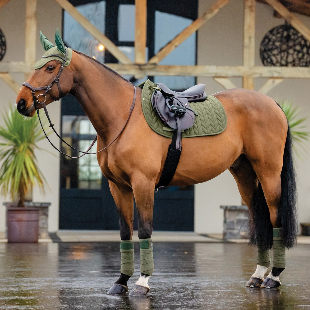 Horseware Ireland Amigo GP Saddle Pad #colour_bramble