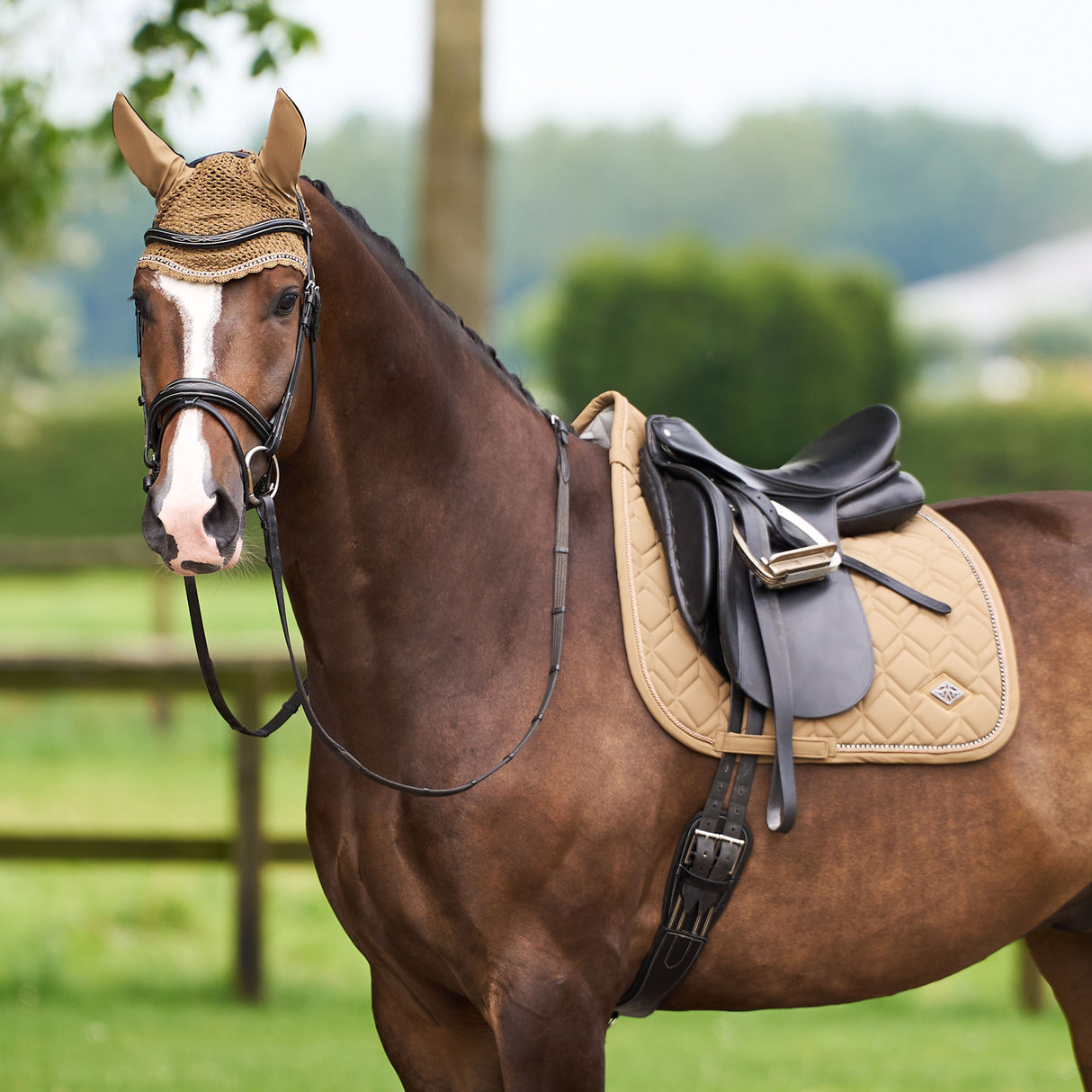 HV Polo Classic Dressage Saddle Pad Classic #colour_straw
