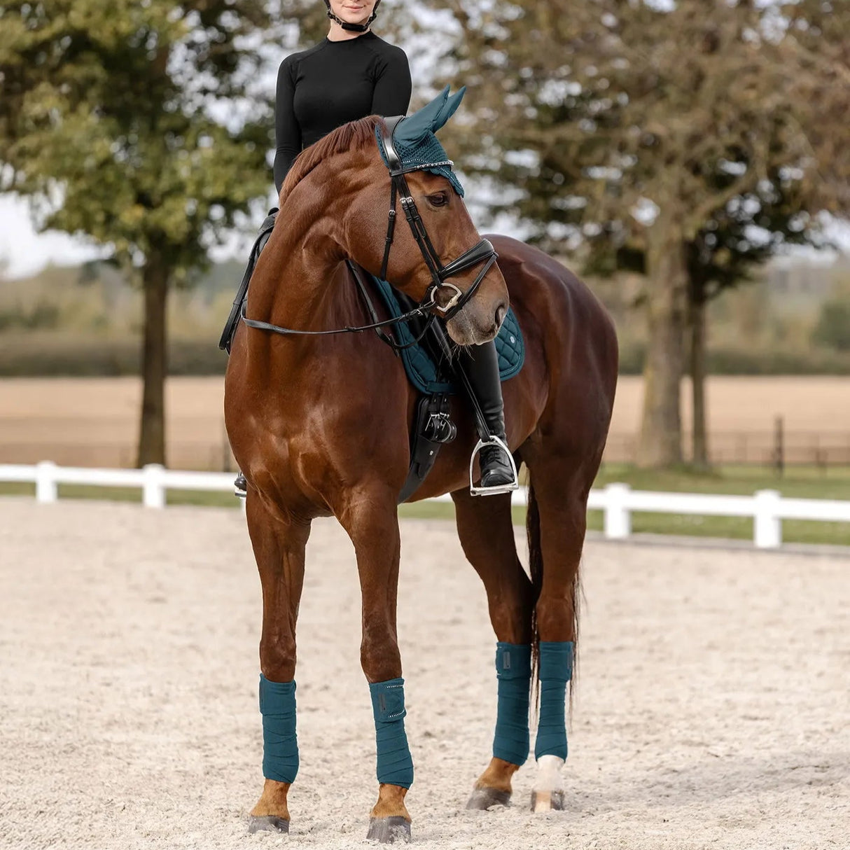 Waldhausen Nepal Fly Veil #colour_petrol-blue