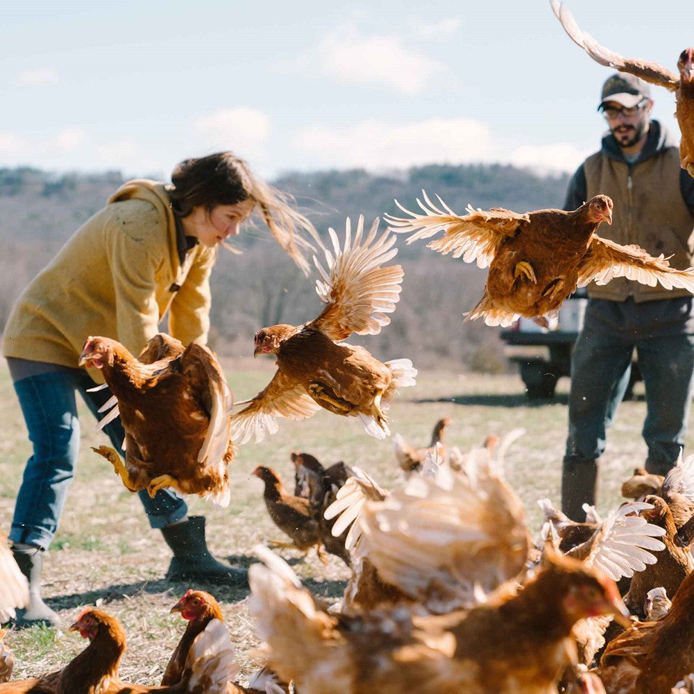 Muck Boots Men Muck Originals Ankle