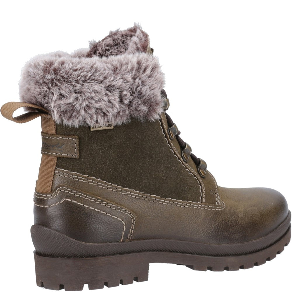 Cotswold Women Evenlode Ankle Boots