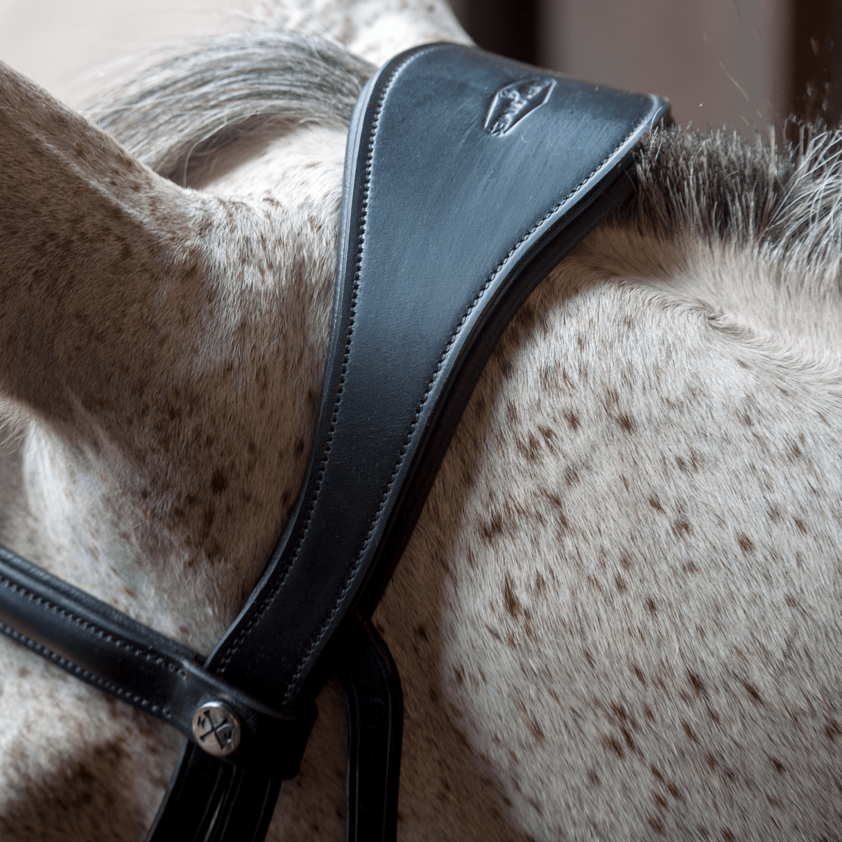 Henry James Patent Dressage Bridle With White Padding
