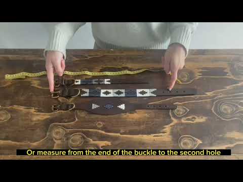 Pampeano Pampa Dog Collar