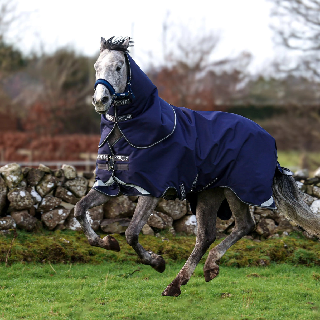Ferdia Equine Chieftain 0g 1200D Ripstop Polyester Turnout Rug