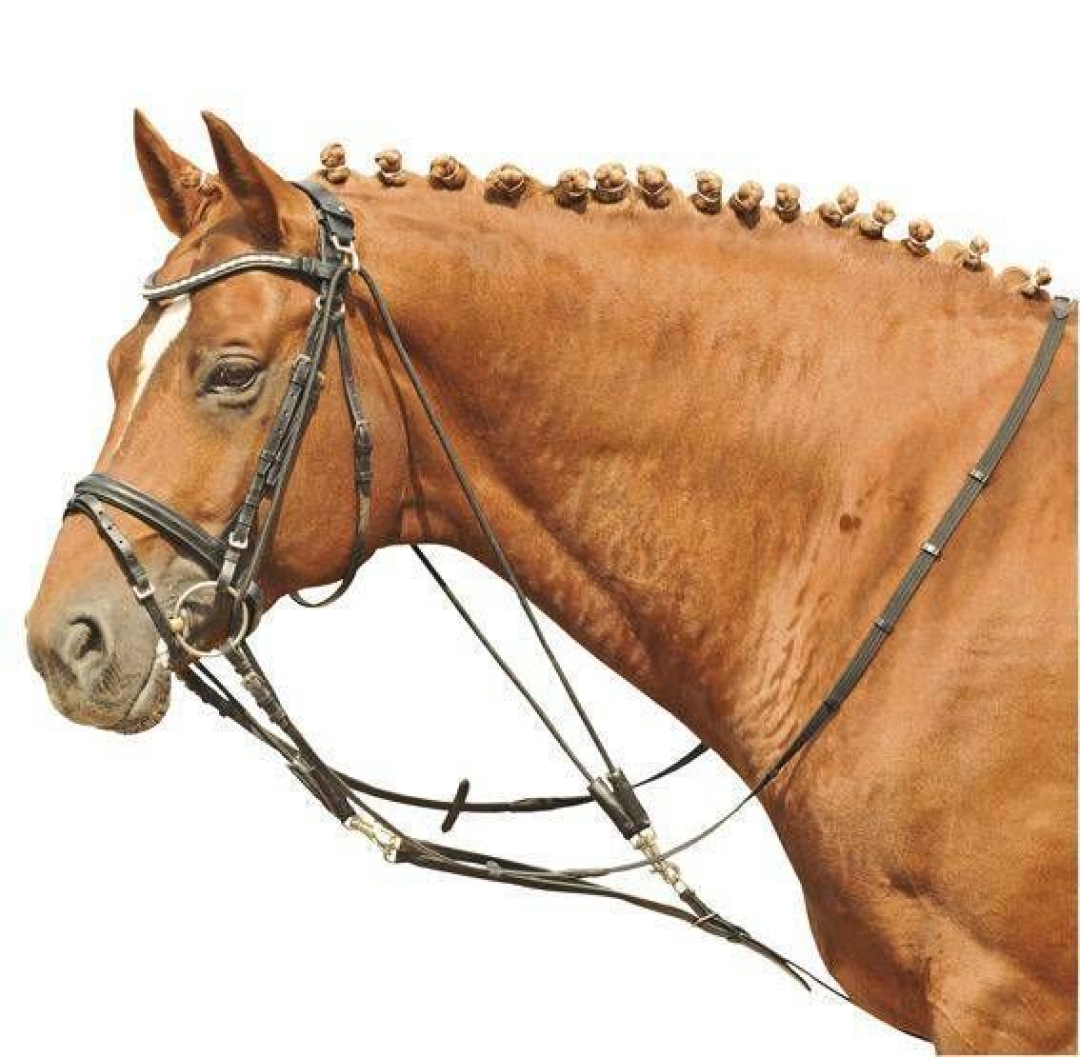 HKM Gogue Training Aid #colour_black