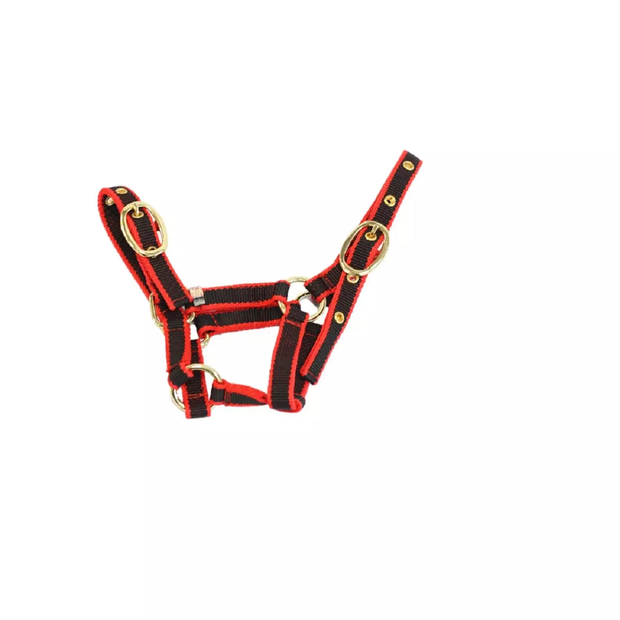 Mackey Equisential Nylon Headcollar #colour_red-black