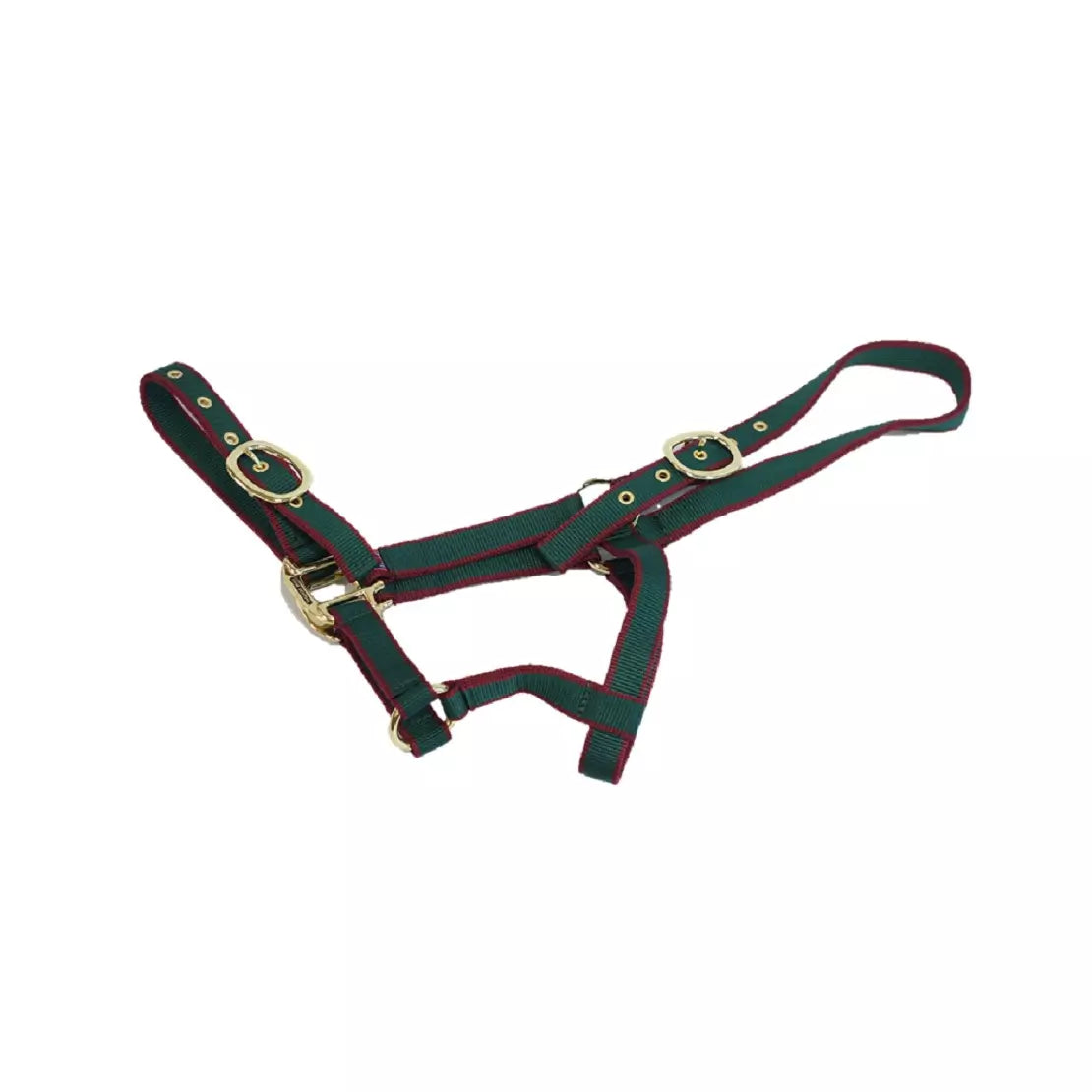Mackey Equisential Nylon Headcollar #colour_green-burgandy