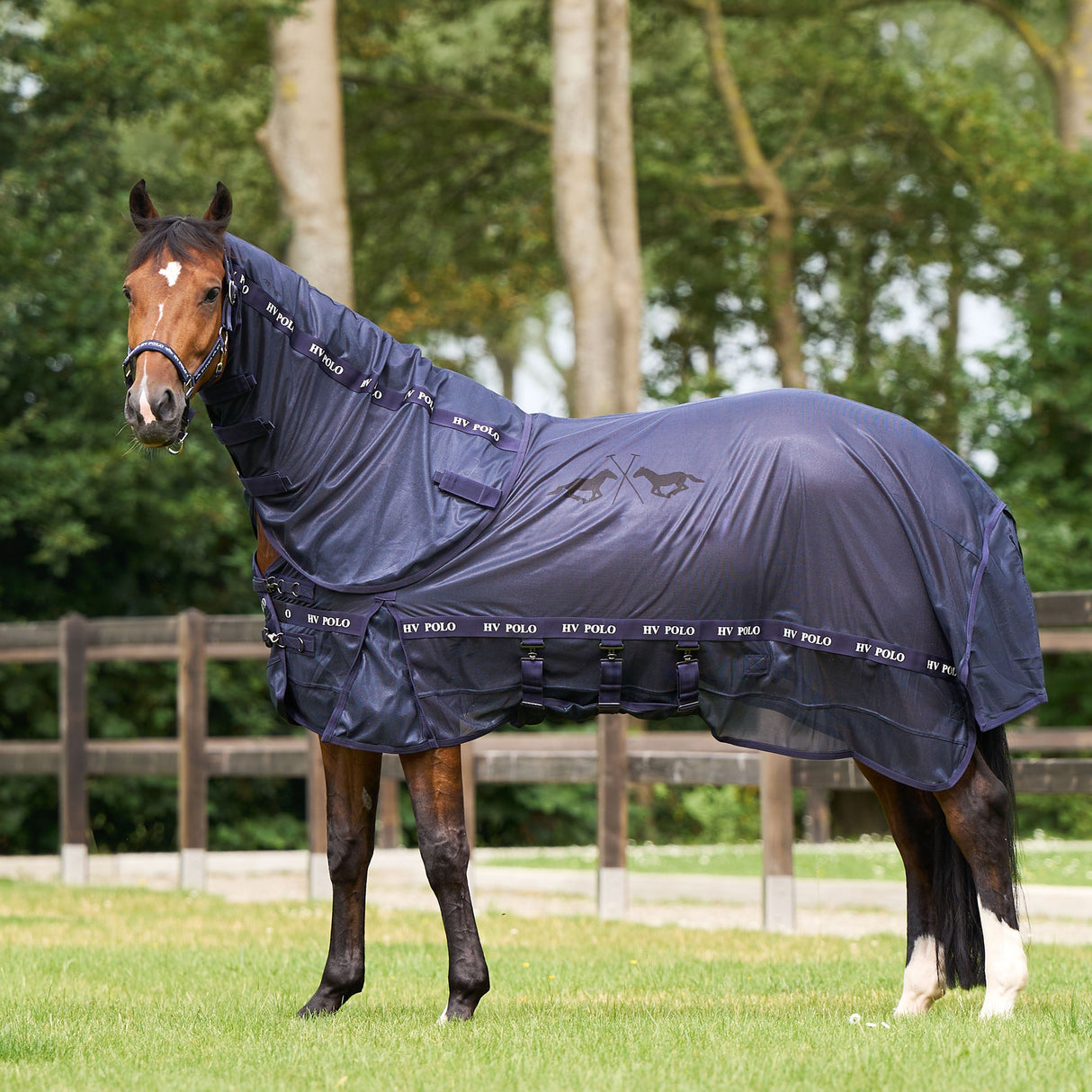 HV Polo Nena Fly Blanket