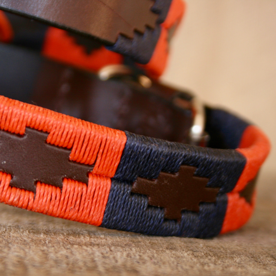 Pampeano Pampa Dog Collar #colour_audaz