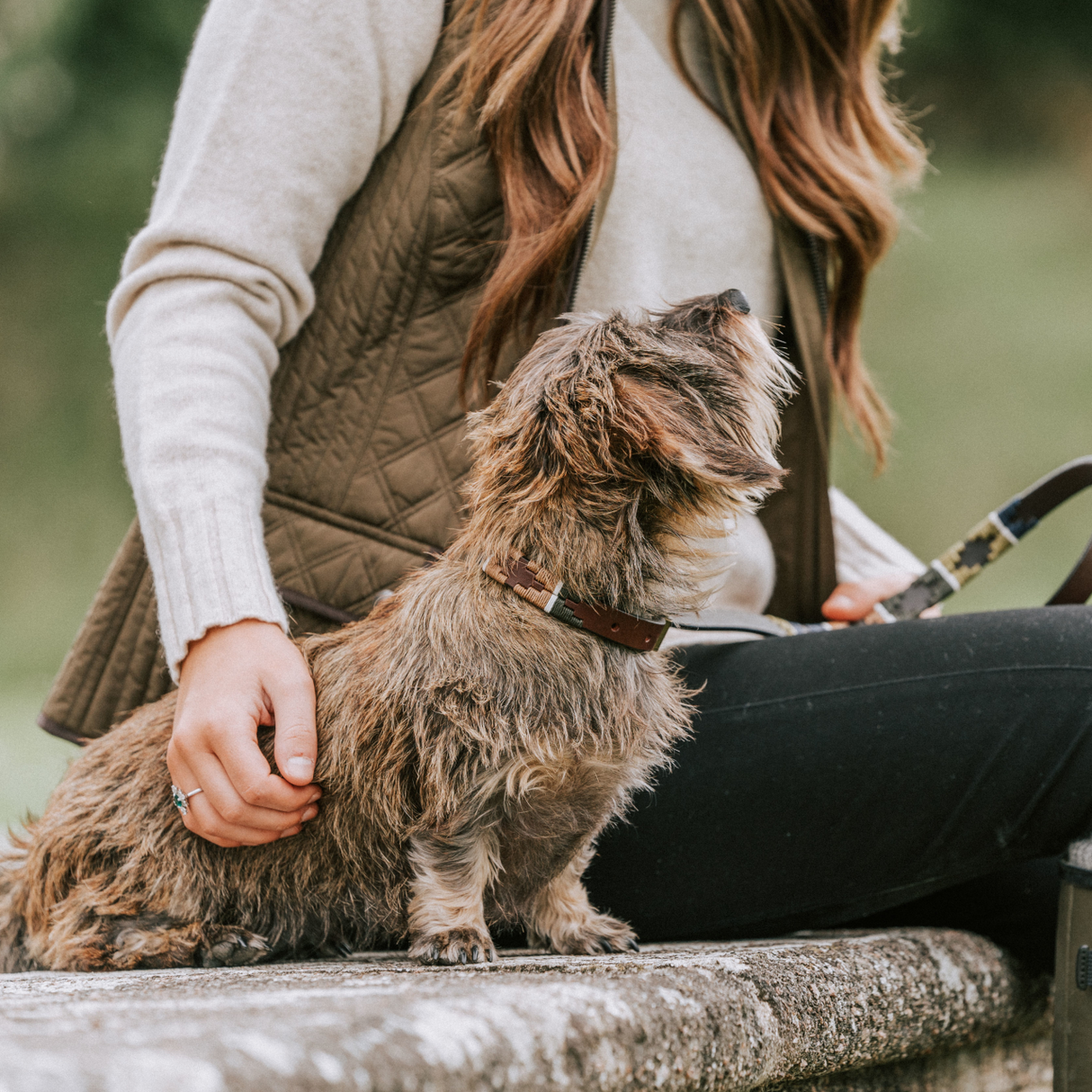 Pampeano Pampa Dog Collar #colour_caza