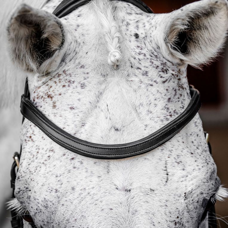 Horseware Micklem Competition Bridle #colour_black