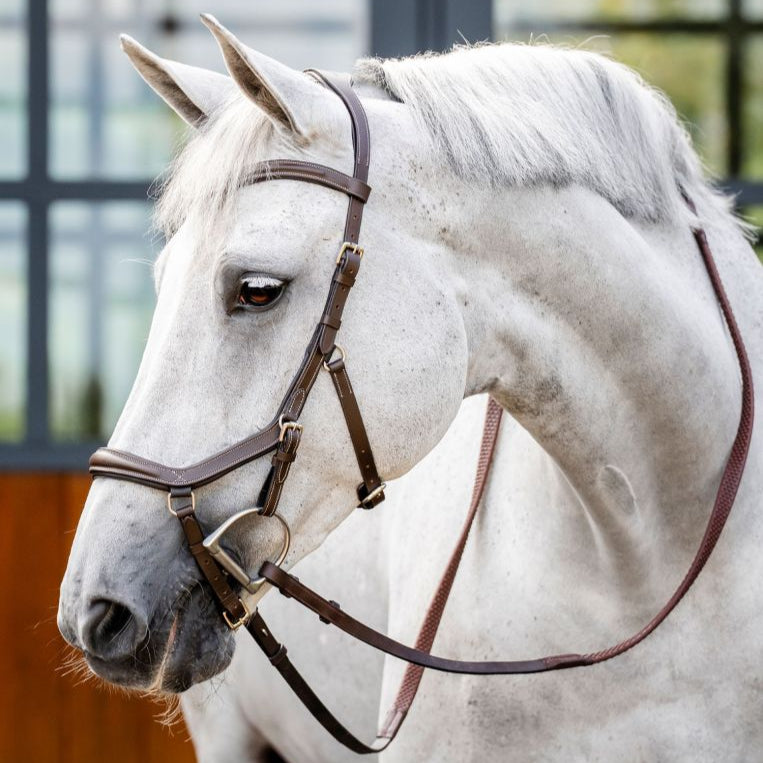 Horseware Micklem Deluxe Competition Bridle #colour_dark-havana