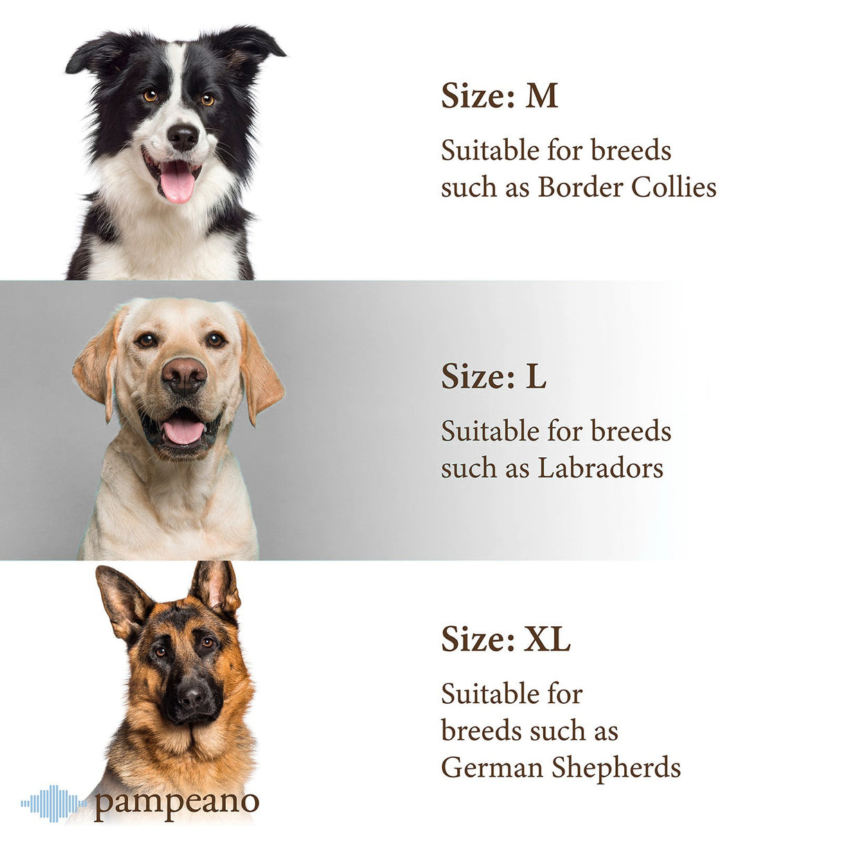 Pampeano Pampa Dog Collar