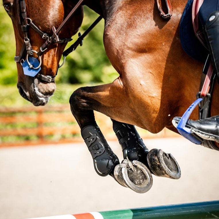 Horseware Ireland Classic Tendon Boots #colour_black-black