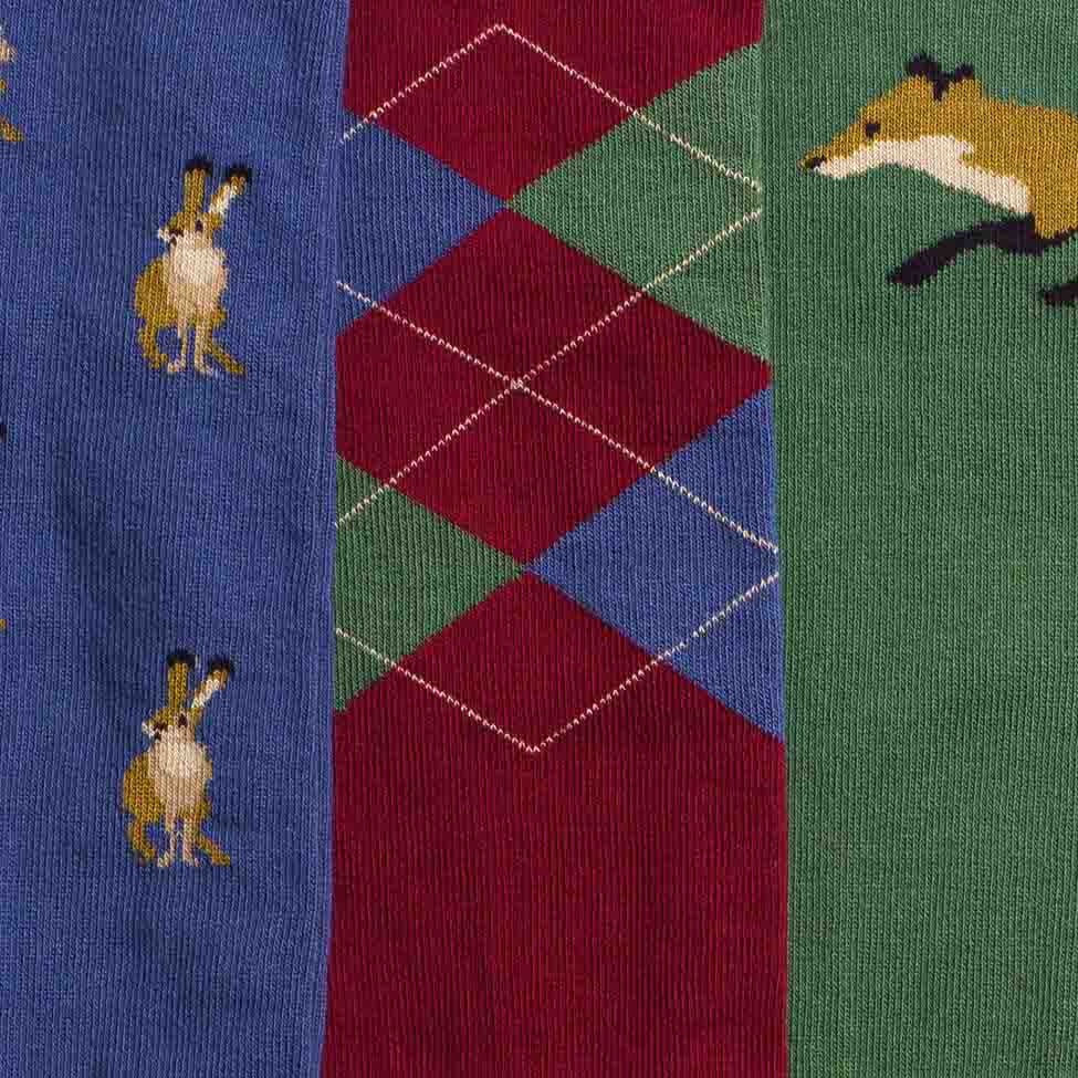 Toggi Men's Country Socks #colour_blue-deep-red-green