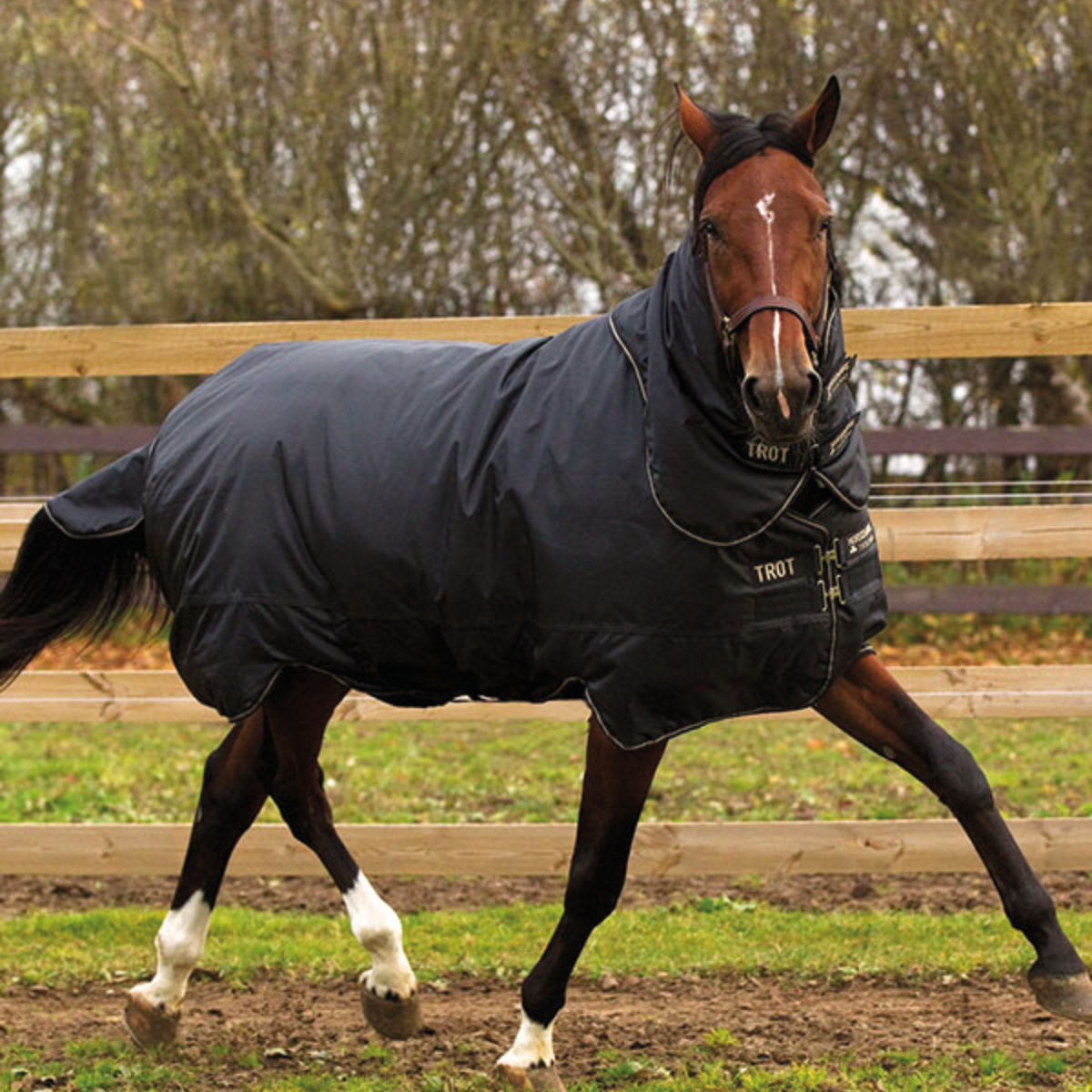 Horseware Trot Plus 350g Weidedecke