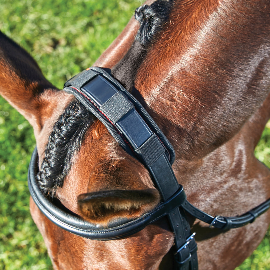 Weatherbeeta Therapy-Tec Poll Pad #colour_black