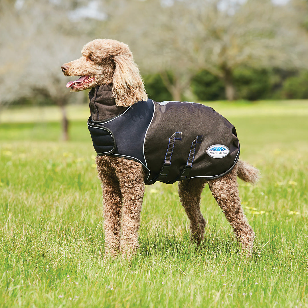 Weatherbeeta Comfitec Ultra Cozi Dog Coat Medium/Lite #colour_charcoal-blue-white