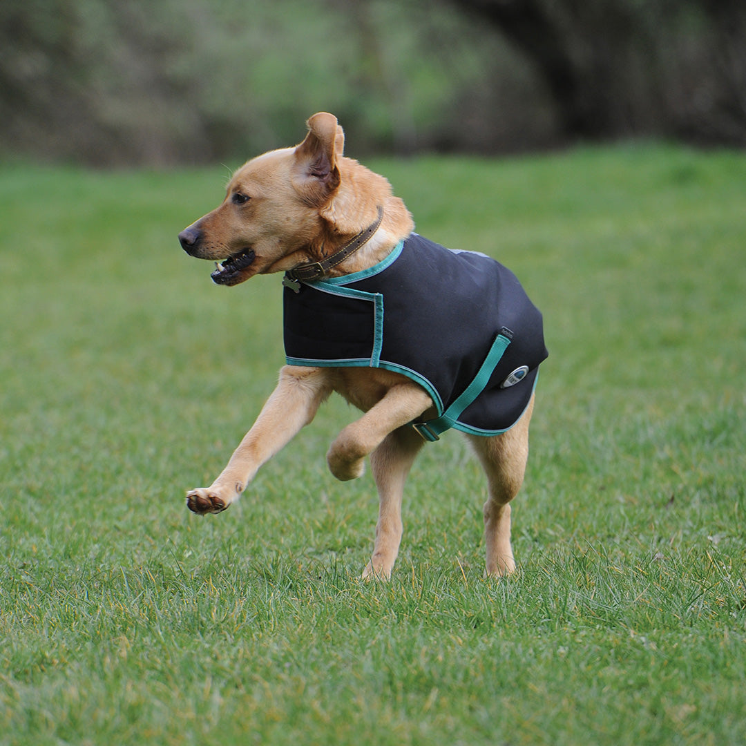 Weatherbeeta Green-Tec 900D Dog Coat Medium #colour_black-bottle-green