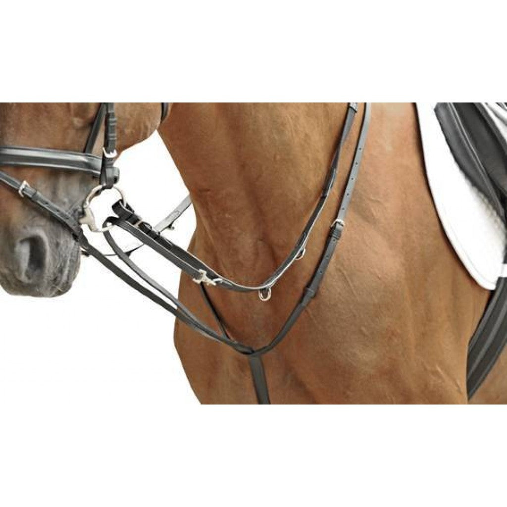 HKM Market Harborough -Thiedemann-