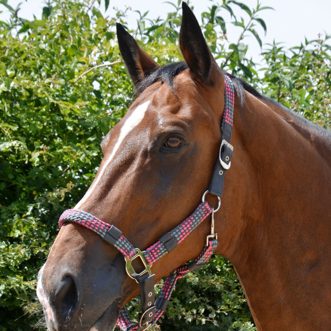 #colour_dark-grey-grey-pink