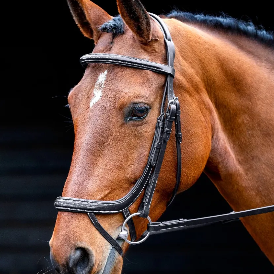 Shires Salisbury Buckingham Bridle #colour_black