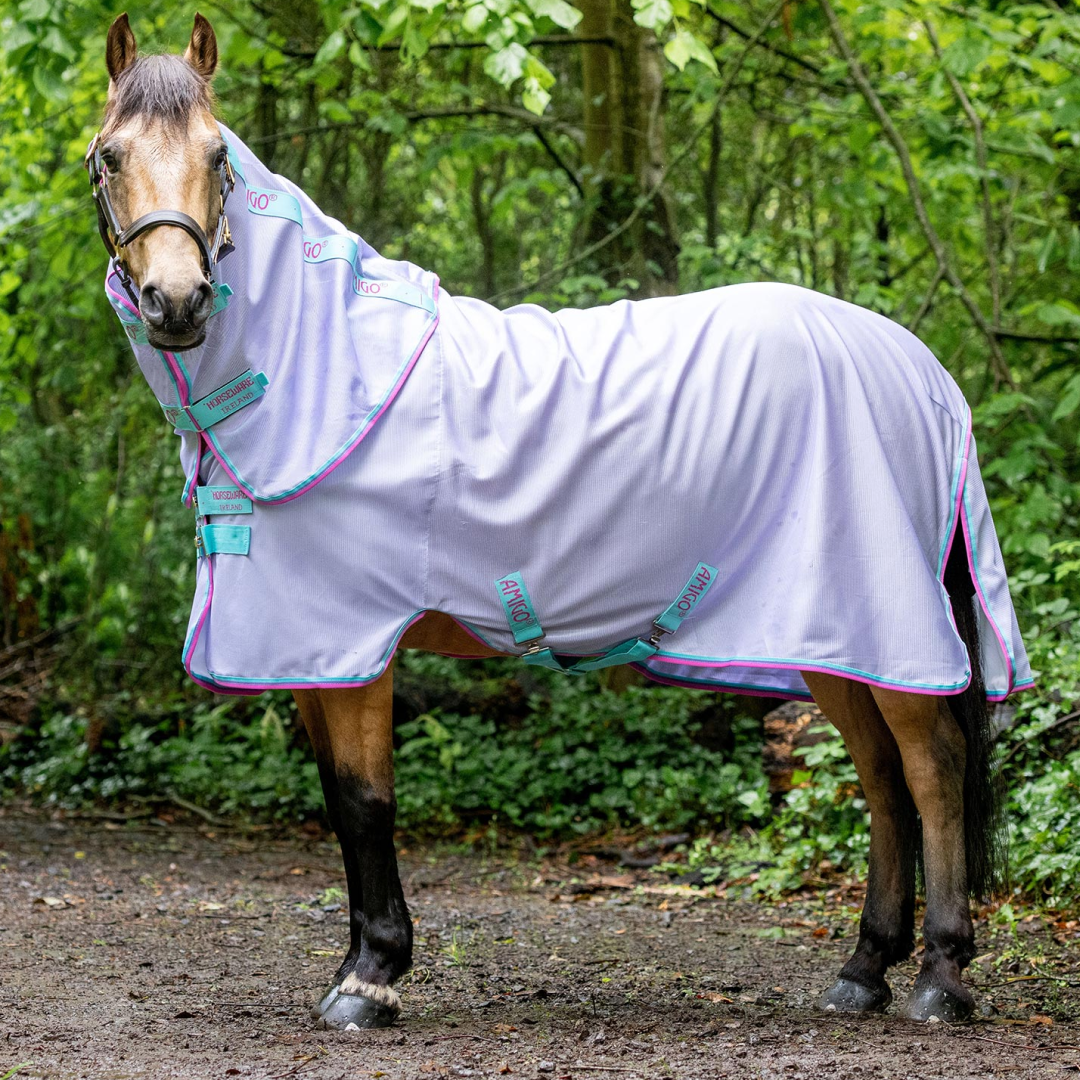 #colour_lavender-capri-raspberry-purple