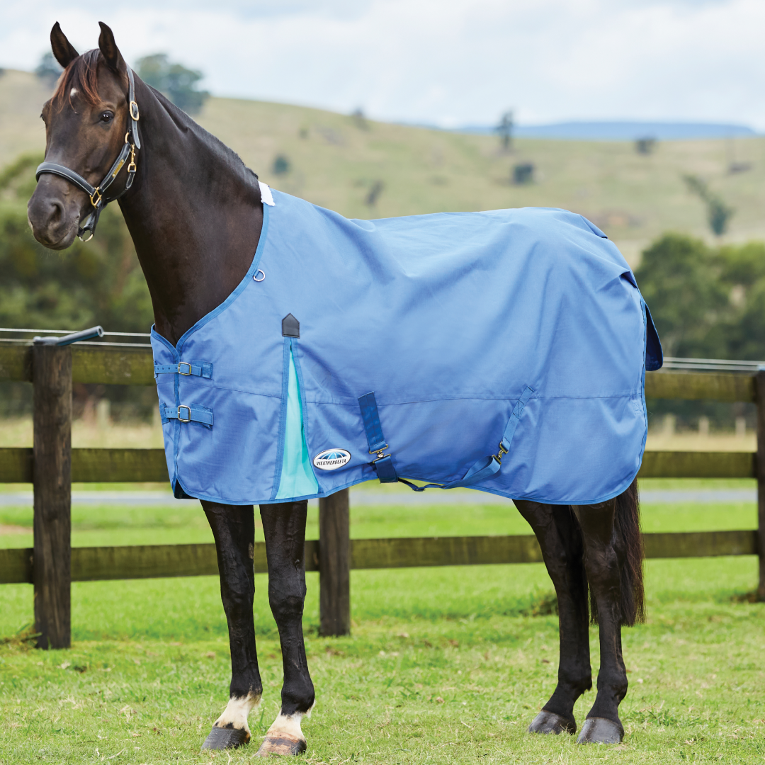 Weatherbeeta Comfitec Classic Standard Neck Lite Rug #colour_delft-blue-mint