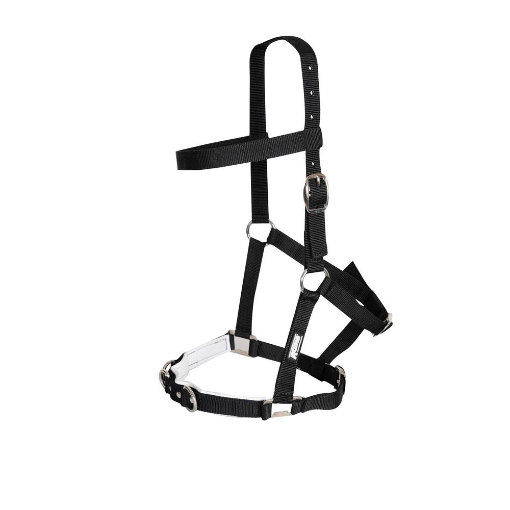 Kincade Nylon 패딩 Lunge Cavesson