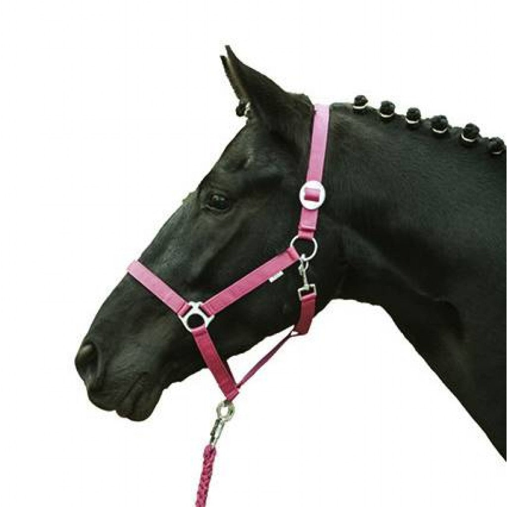 HKM 헤드 칼라 -경제 소프트리스 -