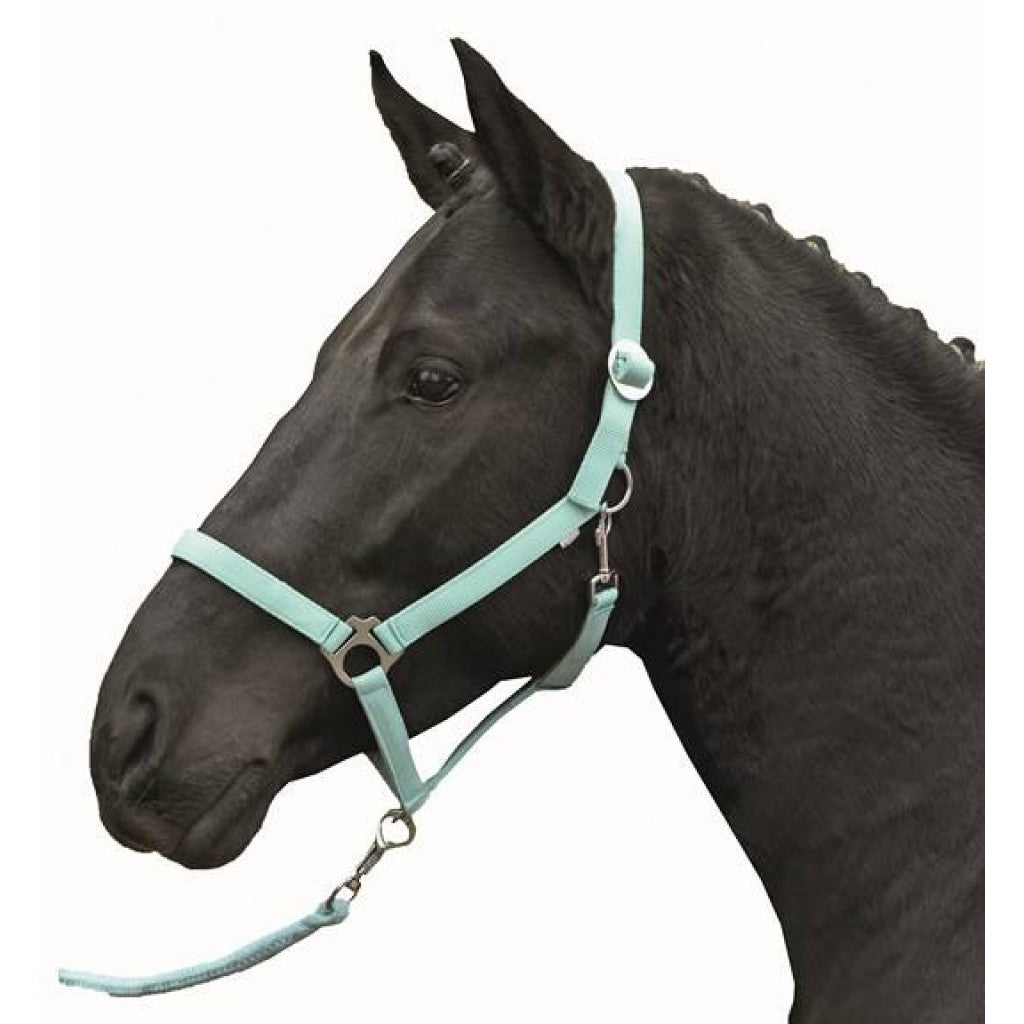 HKM 헤드 칼라 -경제 소프트리스 -