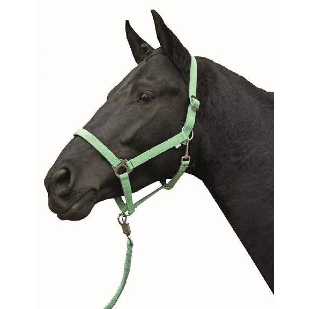 HKM 헤드 칼라 -경제 소프트리스 -