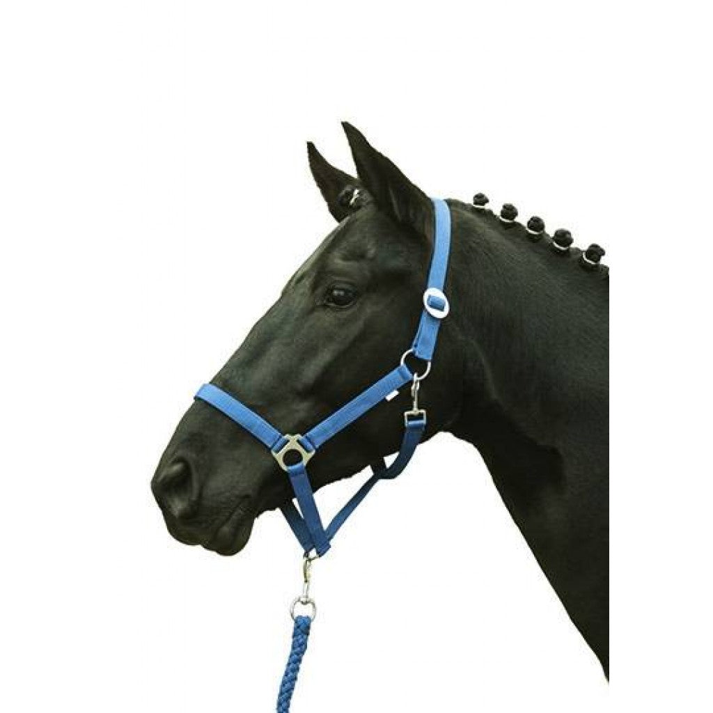 HKM 헤드 칼라 -경제 소프트리스 -