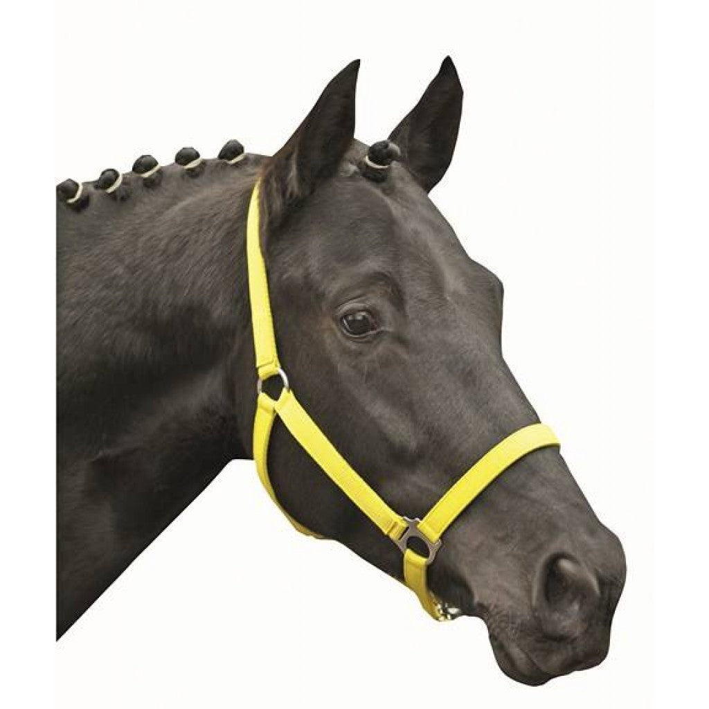 HKM 헤드 칼라 -경제 소프트리스 -