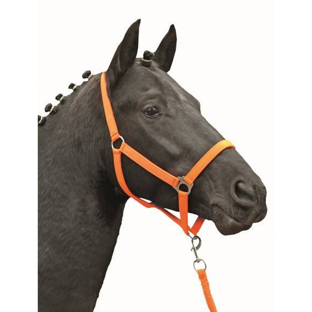 HKM 헤드 칼라 -경제 소프트리스 -