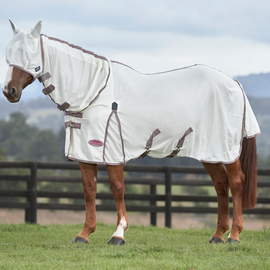 WeatherBeeta Comfitec Airflow Fly Mask #colour_white-dark-grey-orchid