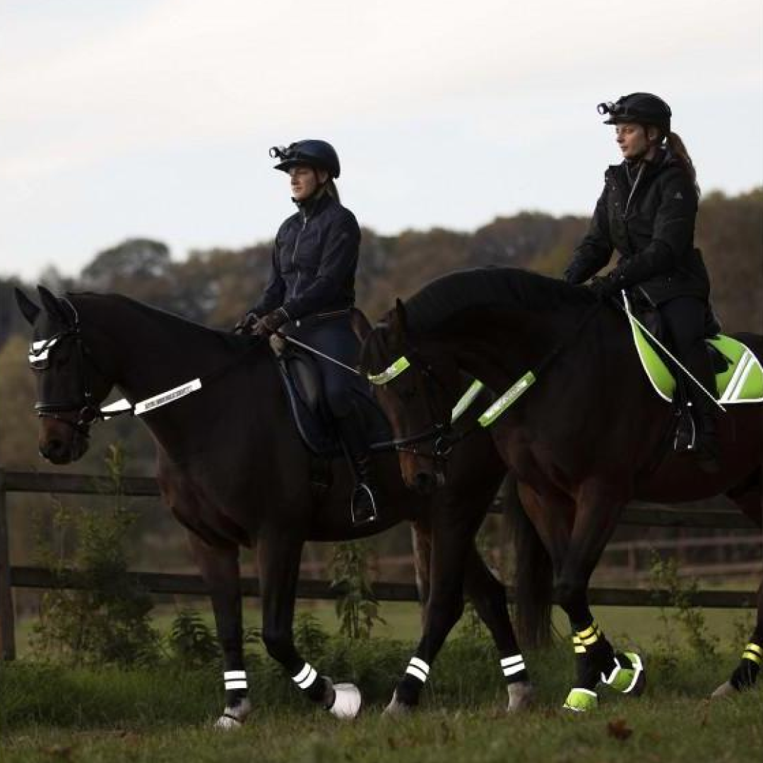Waldhausen Reflex Bridle Set #colour_neon-yellow