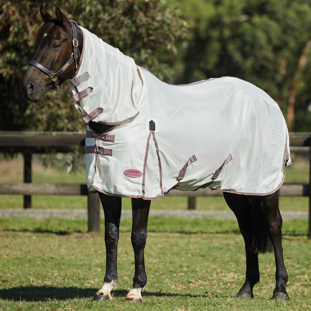 Weatherbeeta Comfitec Airflow II Combo Neck Rug #colour_white-dark-grey-orchid