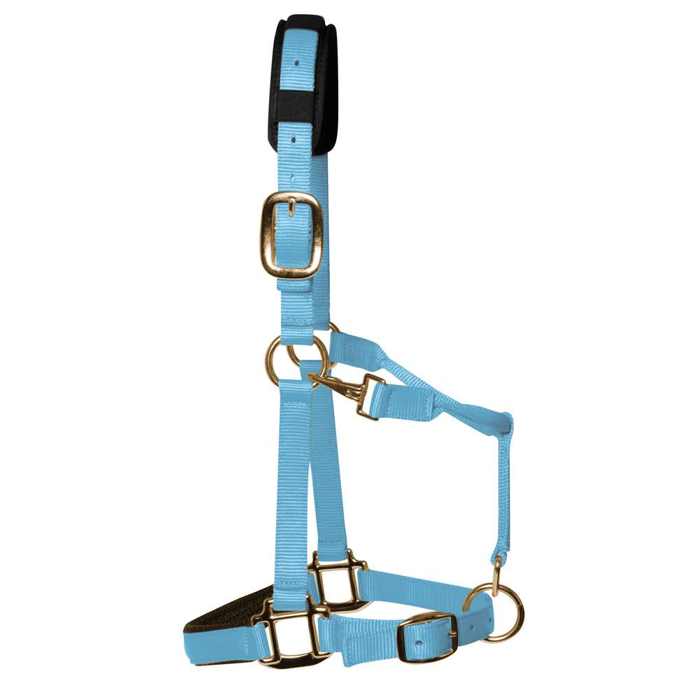 KM Elite Padded Headcollar #colour_baby-blue