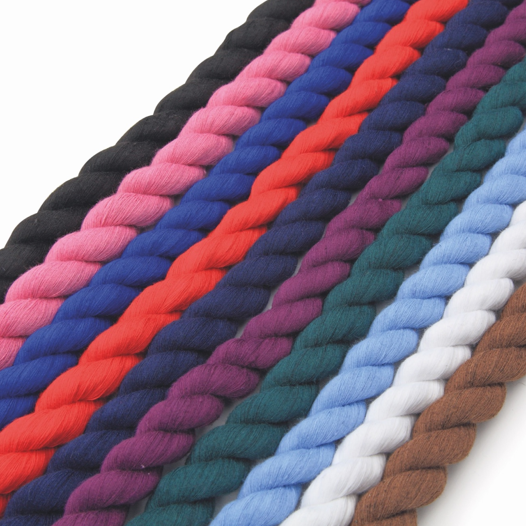 Shires Plain Halfter-Führleine