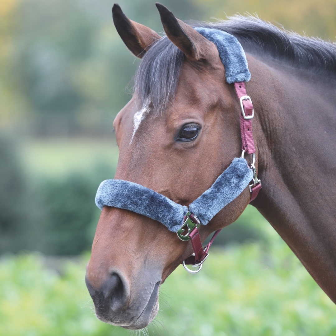 Shires Fleece Lined Headcollar #colour_burgundy-grey