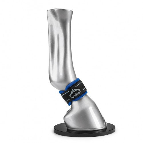 Veredus Magnetik Pro Fesselwickel