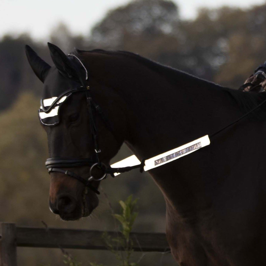 Waldhausen Reflex Bridle Set #colour_grey