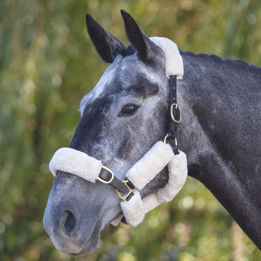 Shires ARMA SupaFleece Halter Sleeves #colour_natural