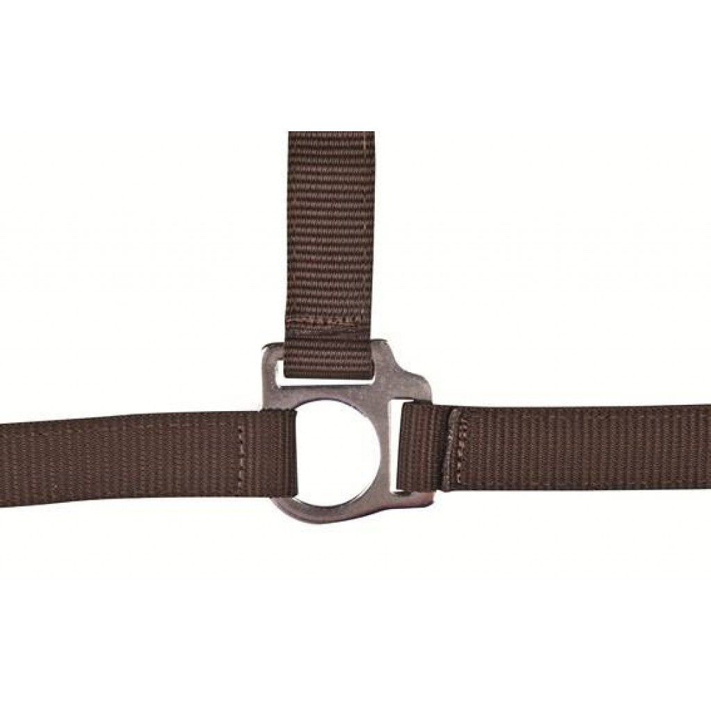 HKM Head Collar -Stars Economy- #colour_dark-brown
