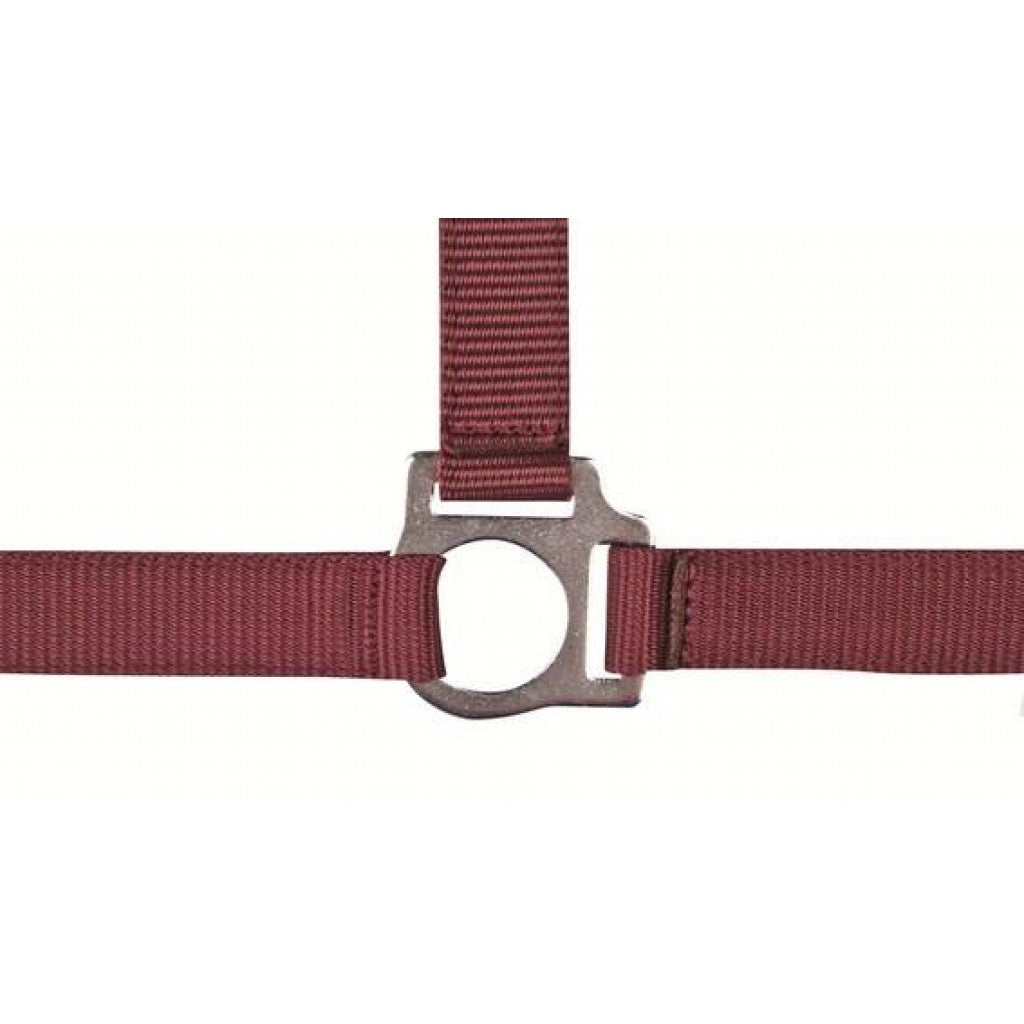 HKM Head Collar -Stars Economy- #colour_dark-red