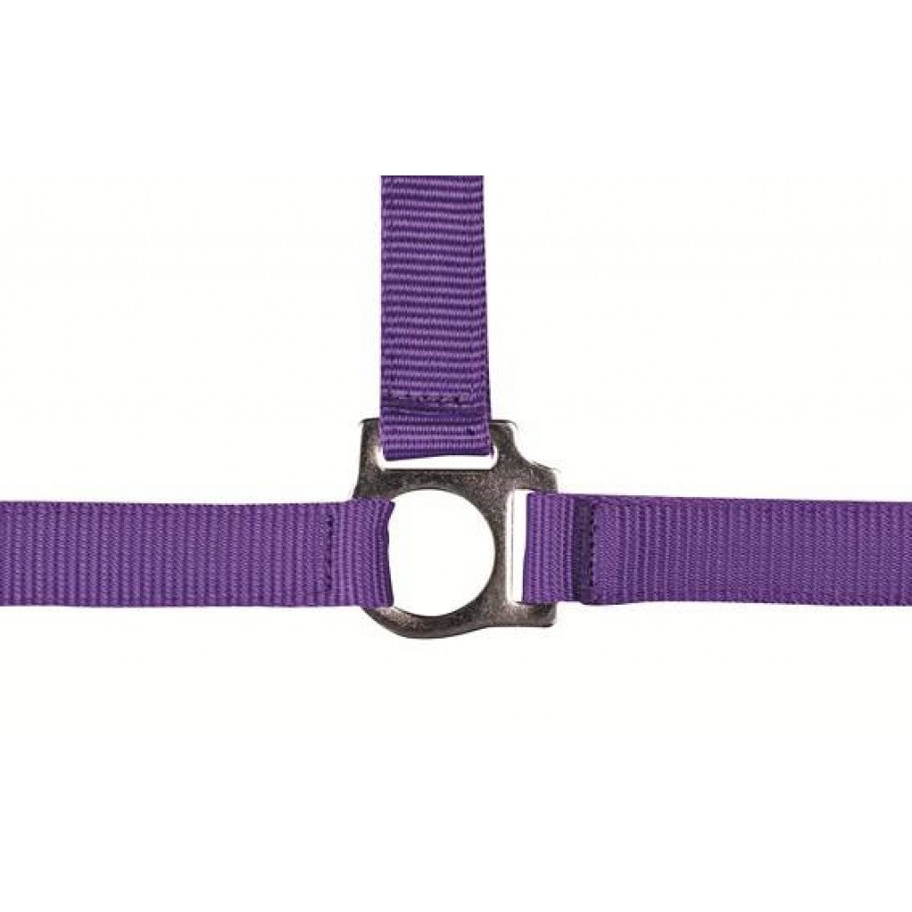HKM Head Collar -Stars Economy- #colour_lilac