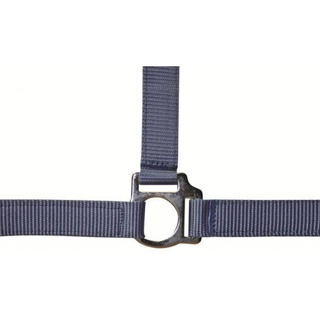 HKM Head Collar -Stars Economy- #colour_baby-blue